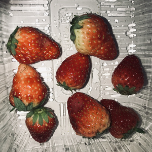 日本巨胸爆乳❌❌❌
